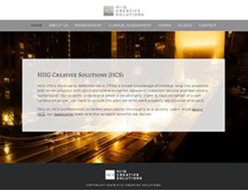 HIIG Creative Solutions