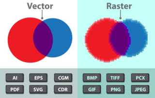 Raster vs Vector Images