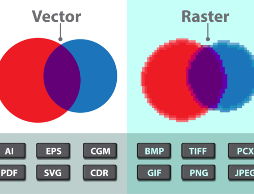 Which Graphic File Format is Best: Vector and Raster Images