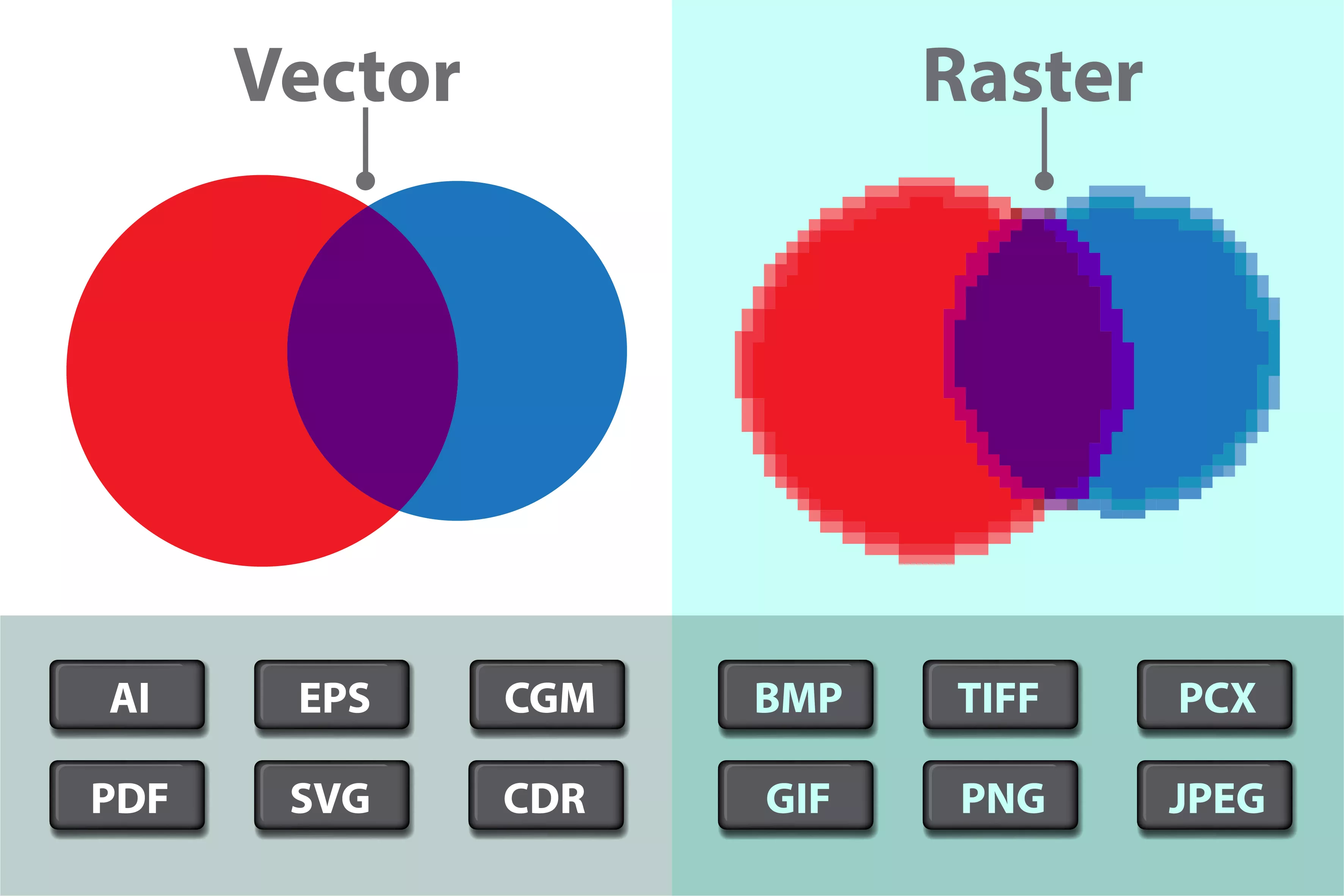 difference between vector and raster gis