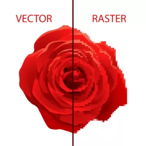 Vector vs Raster Imaging on Picture of a Flower